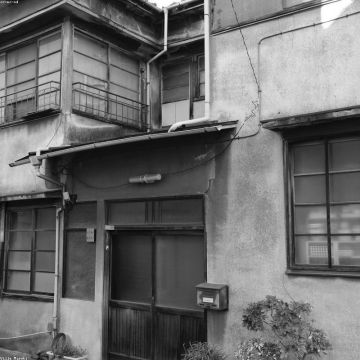 Plant Pot